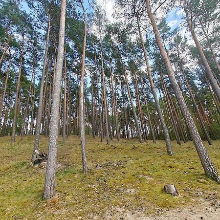 Lesna Ostoja W Centrum Puszczy Nadnoteckiej Otoczona 3 Jeziorami Miedzychod Buitenkant foto